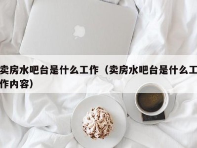 广州卖房水吧台是什么工作（卖房水吧台是什么工作内容）