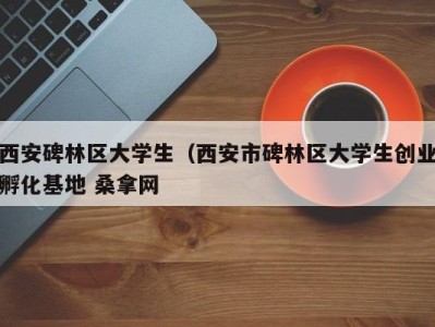 广州西安碑林区大学生（西安市碑林区大学生创业孵化基地 桑拿网