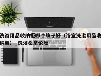 广州洗浴用品收纳柜哪个牌子好（浴室洗漱用品收纳架）_洗浴桑拿论坛