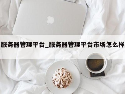 广州服务器管理平台_服务器管理平台市场怎么样 