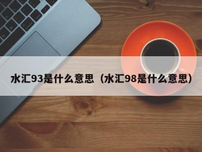 广州水汇93是什么意思（水汇98是什么意思）