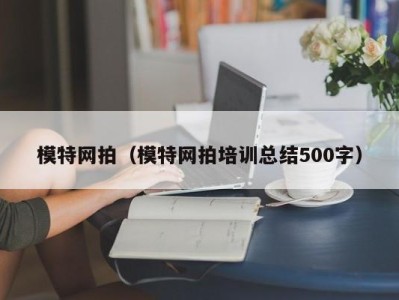 广州模特网拍（模特网拍培训总结500字）